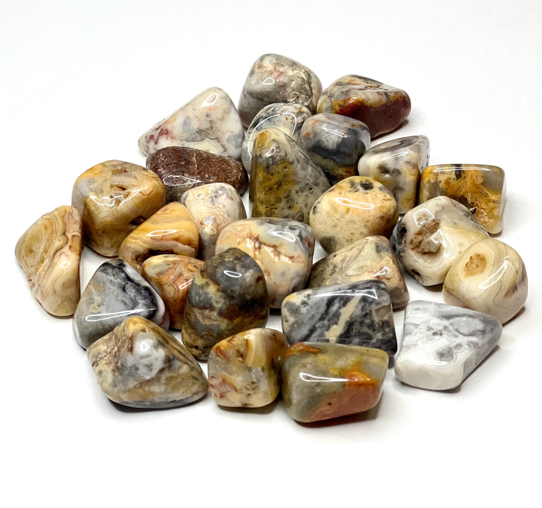 Crazy Lace Agate