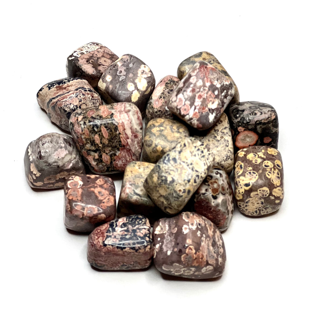Leopardskin Jasper